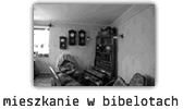 mieszkanie w bibelotach
