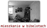 mieszkanie w bibelotach