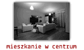 mieszkanie w centrum