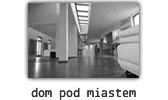 dom pod miastem