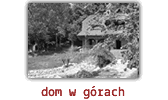 dom w górach